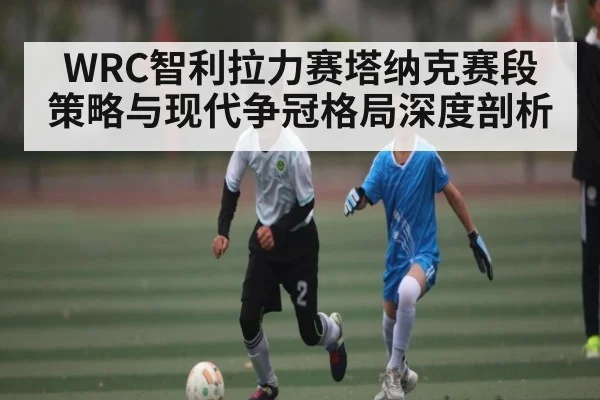 WRC智利拉力赛塔纳克赛段策略与现代争冠格局深度剖析